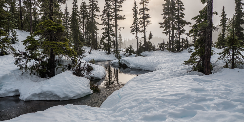 paisagem no Canadá com árvores e neve