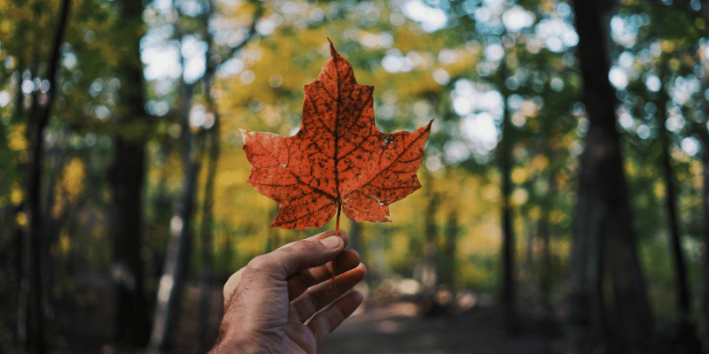 Morar no Canadá: saiba por onde começar